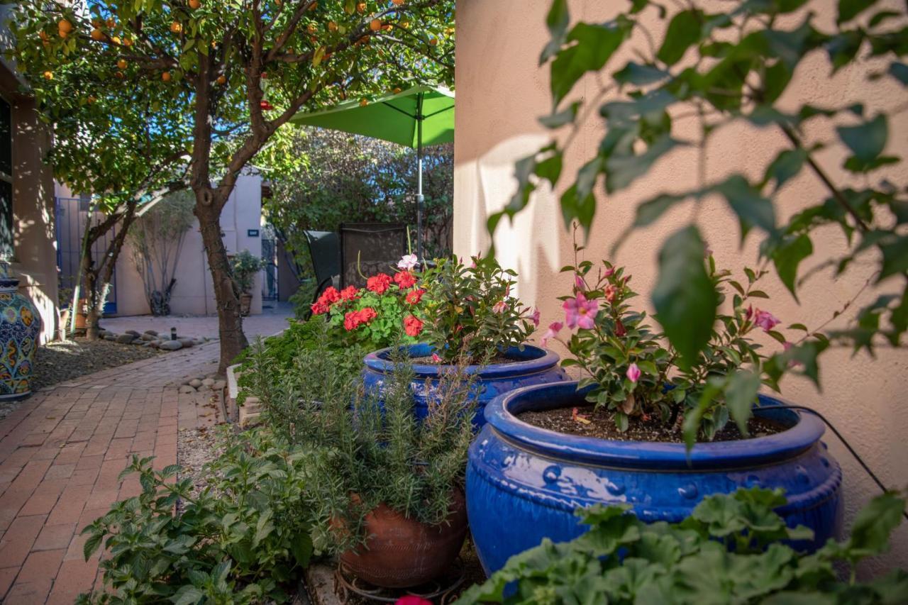 Adobe Rose Inn Тусон Екстер'єр фото